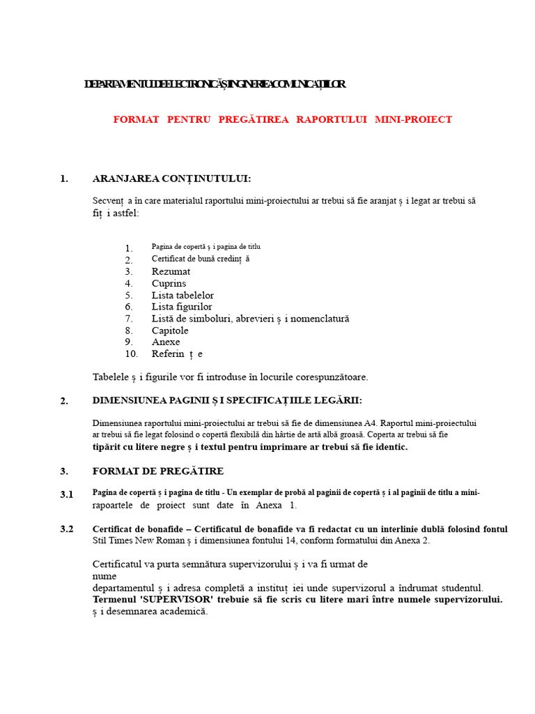Format Raport Mini Proiect | PDF