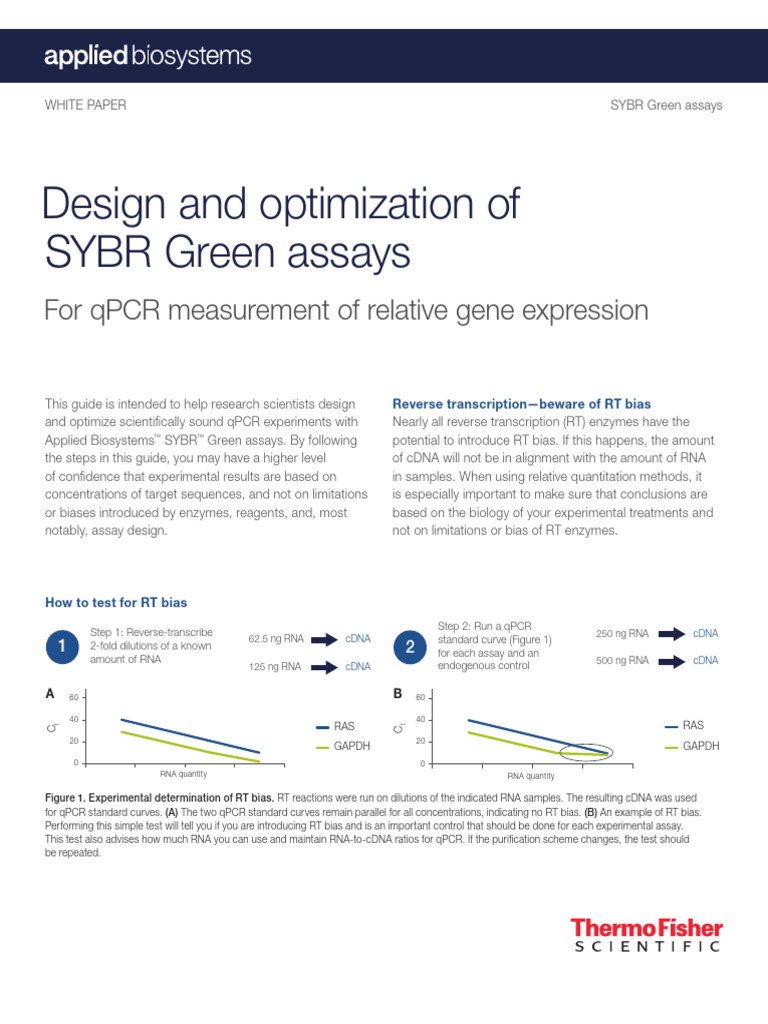 SYBR Green Assays: Design & Optimization Guide | PDF | Real Time ...