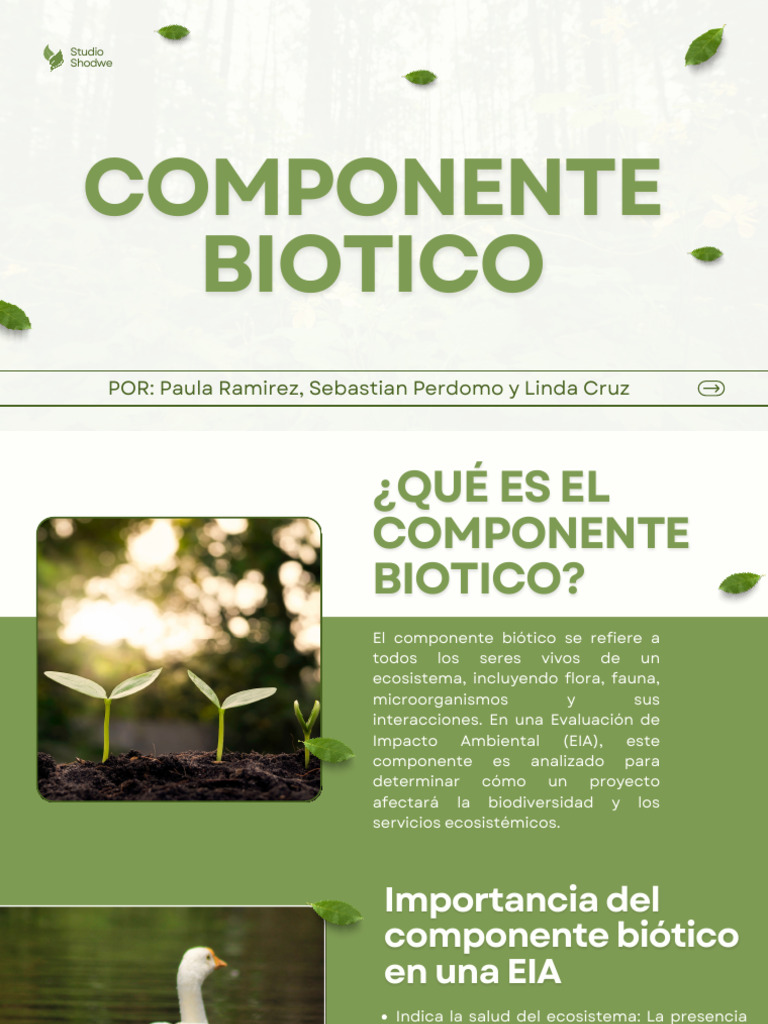 Importancia del Componente Biótico en EIA | PDF | Entorno natural ...