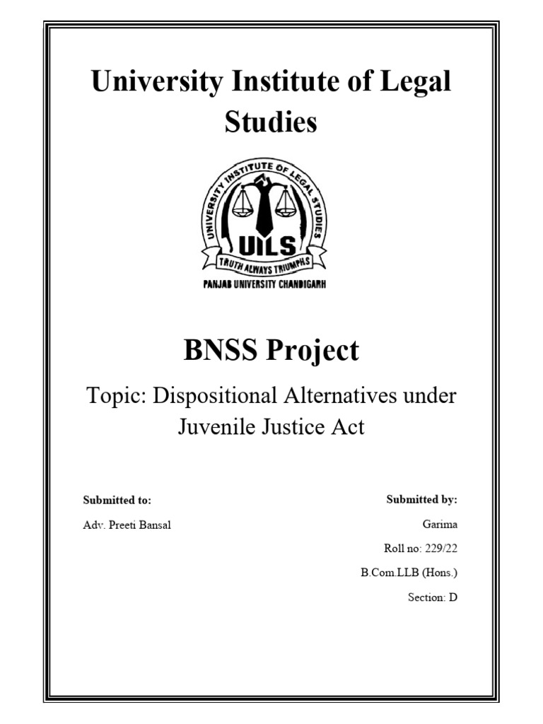 Dispositional Alternatives in Juvenile Justice | PDF | Justice | Crime ...