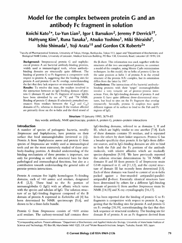 Protein G and Antibody Fc Interaction Model | PDF | Proteins | Protein ...