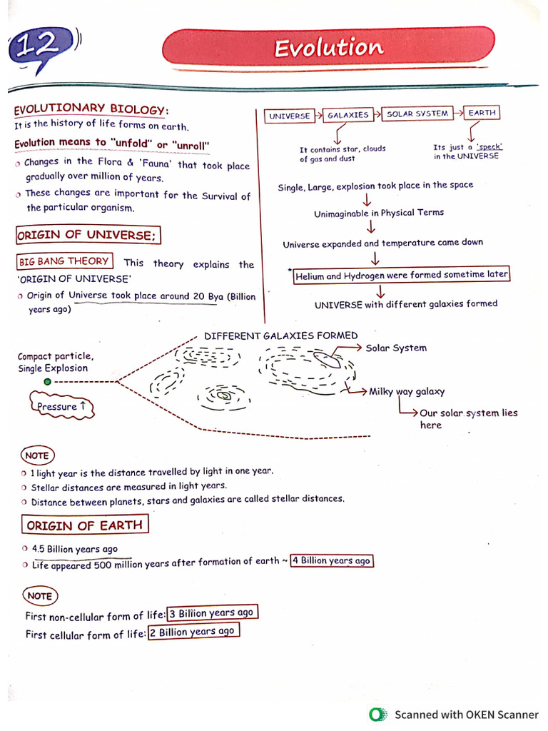Evolution Notes | PDF