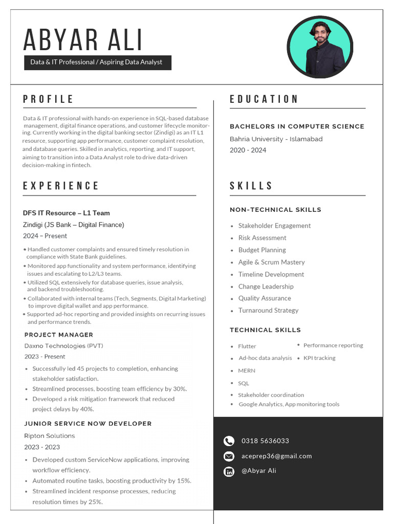 Project Manager & IT Professional Profile | PDF | Analytics | Databases