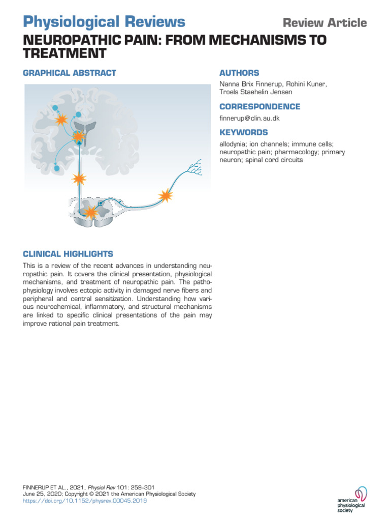 Neuropathic Pain: Mechanisms & Treatment | PDF | Pain | Peripheral ...