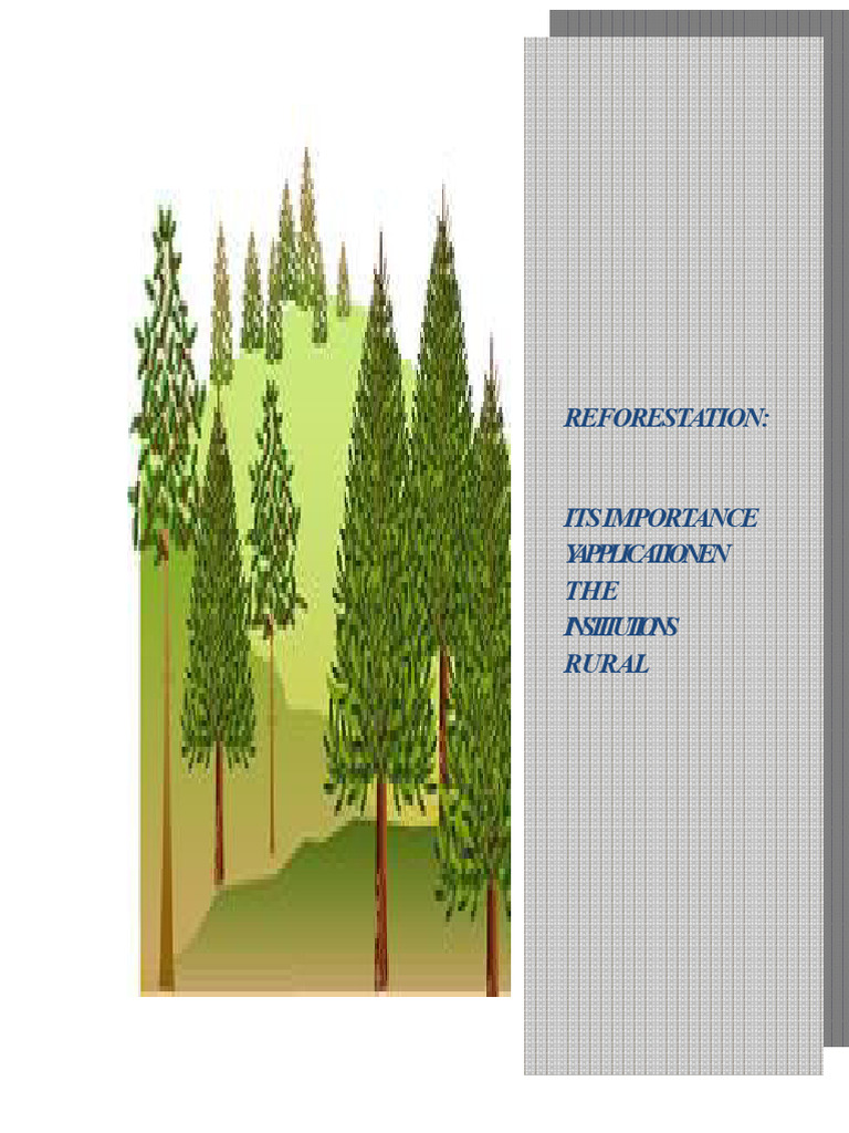 Importance of Rural Reforestation Programs | PDF | Forests | Deforestation