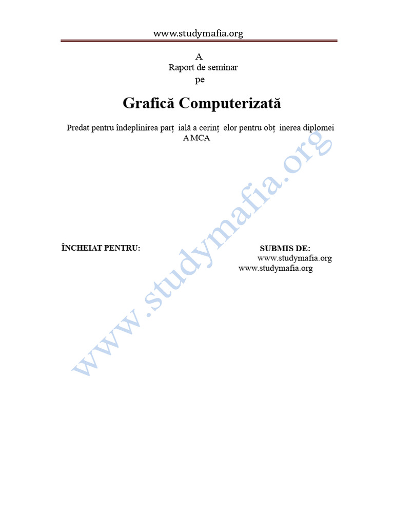 Raport Computer Graphics MCA | PDF