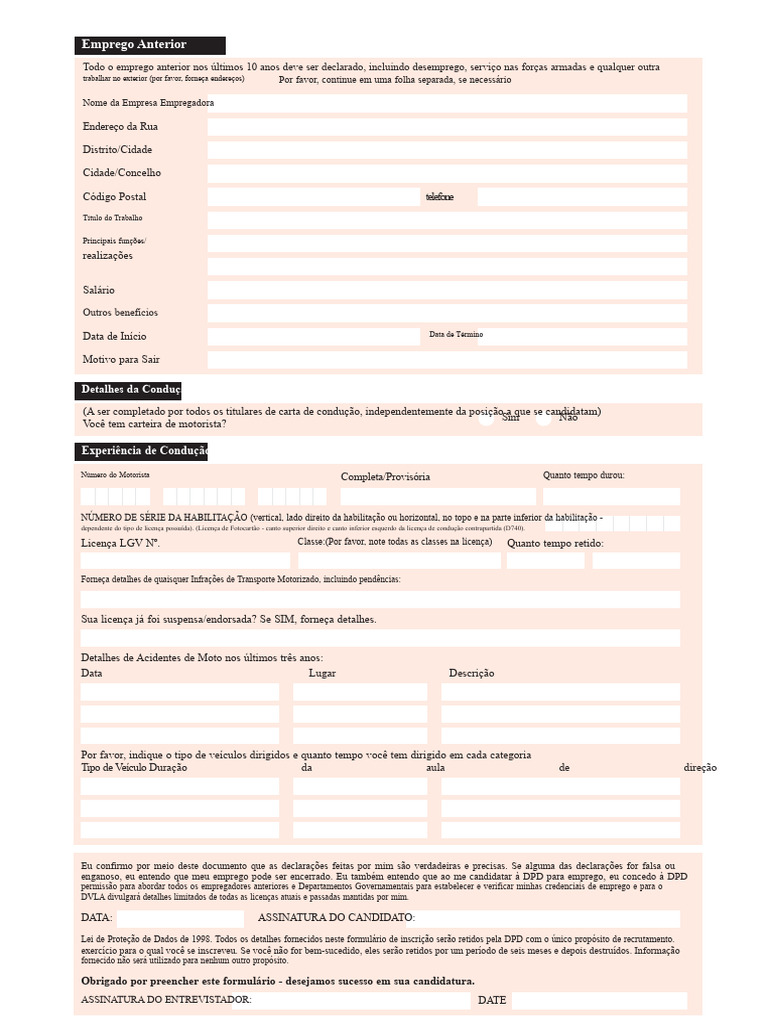 Formulário de Candidatura DPD | PDF | Recrutamento | Emprego