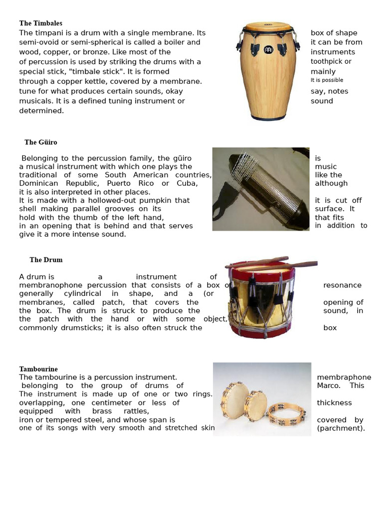Musical Instruments of Guatemala | PDF | Guitars | String Instruments