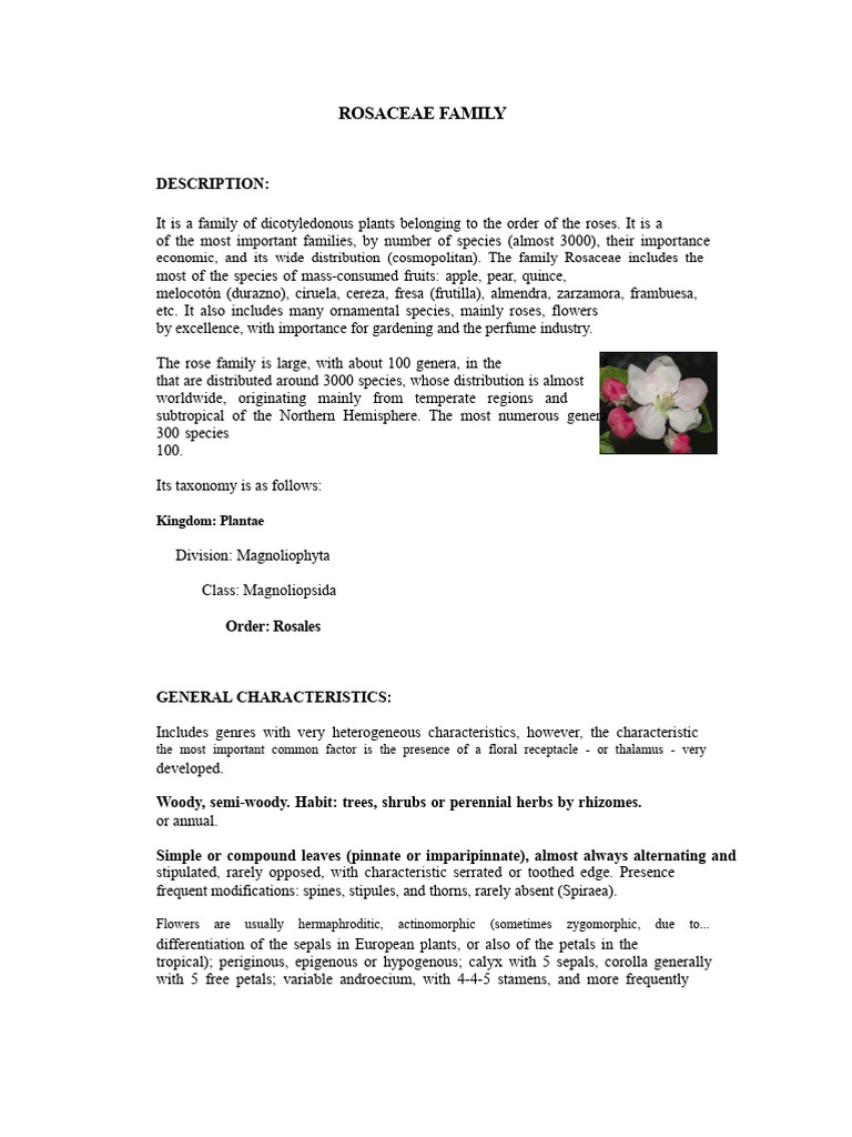 Overview of the Rosaceae Family | PDF | Flowers | Fruit