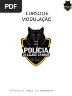 Códigos Q e 10 da Polícia no GTA RP | PDF