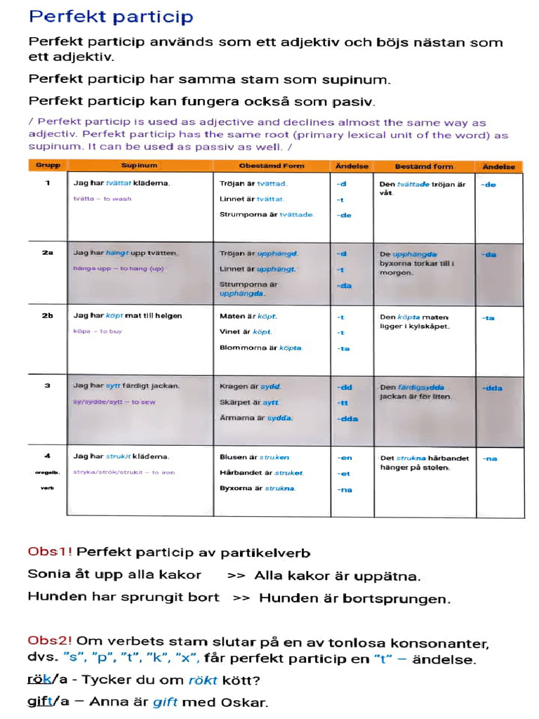 Perfekt Particip | PDF
