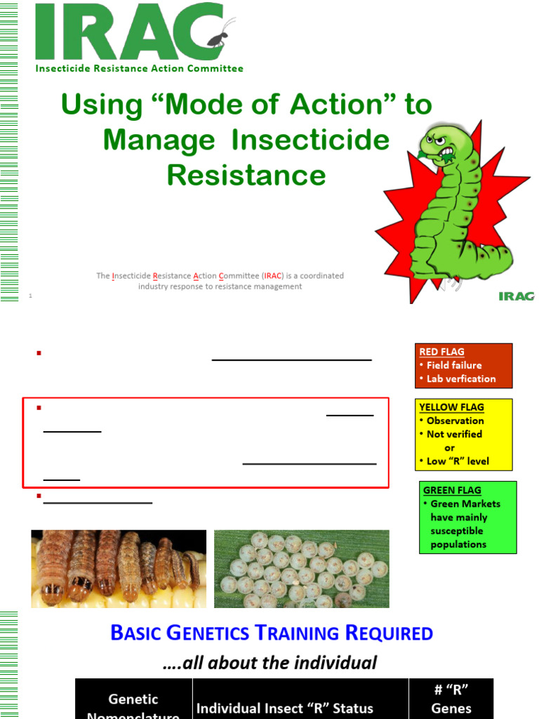 Using Mode of Action To Manage Insecticide Resistance | PDF ...