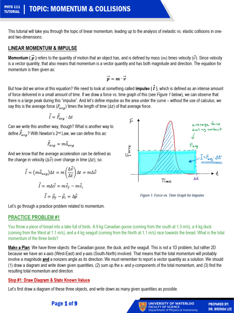 Momentum and Collisions Tutorial | PDF | Collision | Momentum