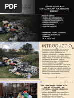 Causas y Soluciones a la Quema de Basura | PDF | Residuos | Contaminación