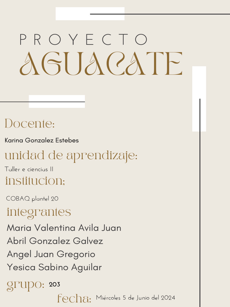 Proyecto Final | PDF