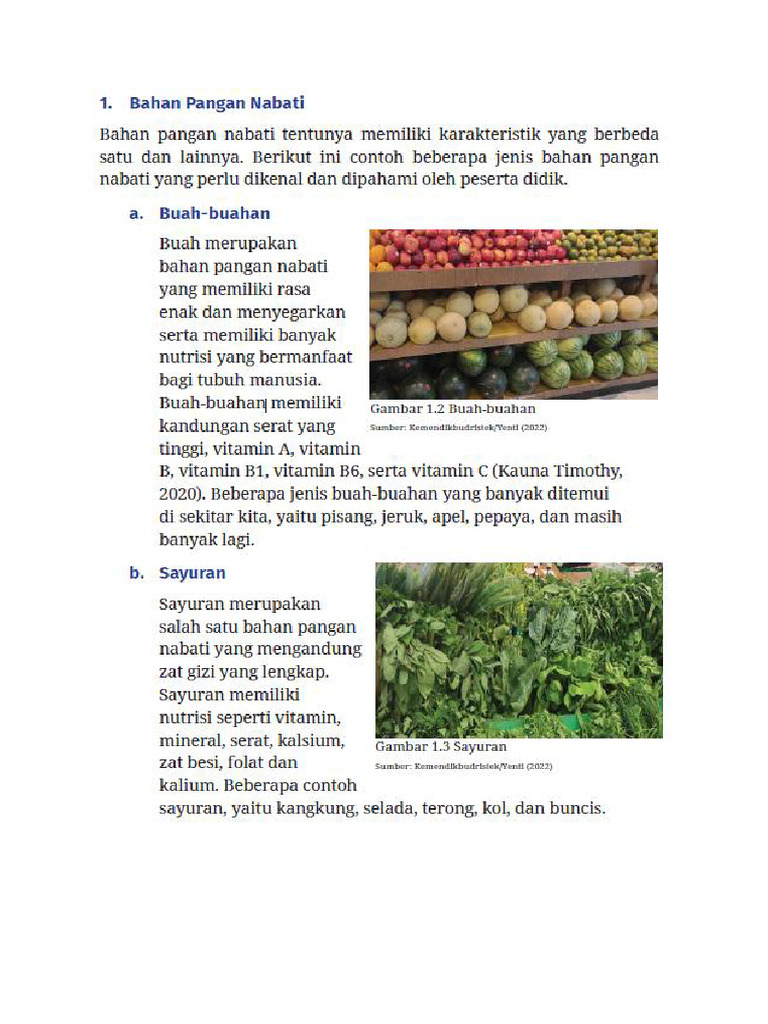Nabati 1 | PDF