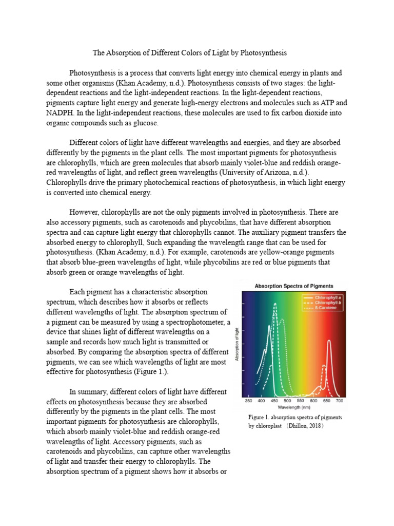 The Absorption of Different Colors of Light by Photosynthesis | PDF ...
