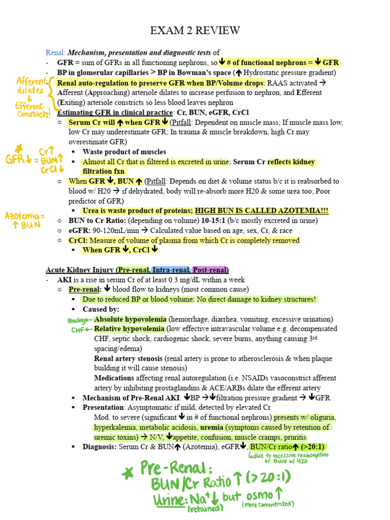 Renal Function and Acute Kidney Injury Review | PDF | Hyperthyroidism ...