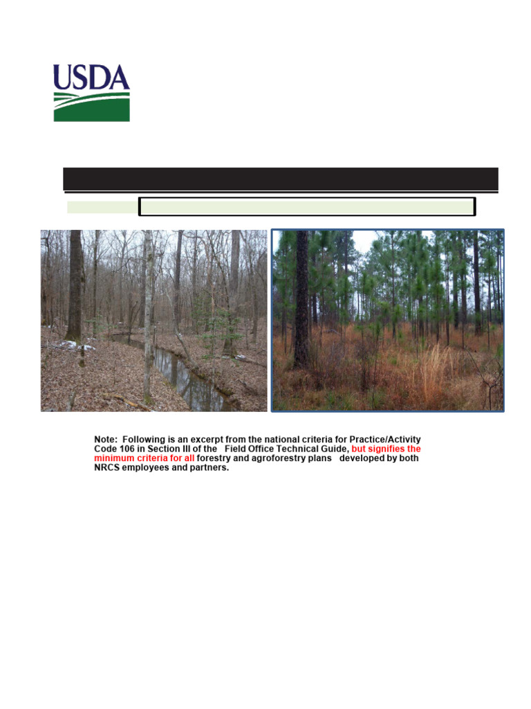 Forest Management Plan Template Guide | PDF | Forest Management ...