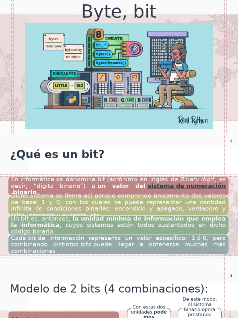 Definición de Bit y Byte en Informática | PDF | Poco | Hardware de la ...