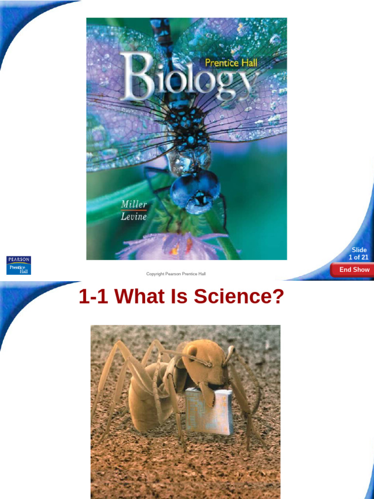 Understanding Science Basics | PDF | Science | Hypothesis