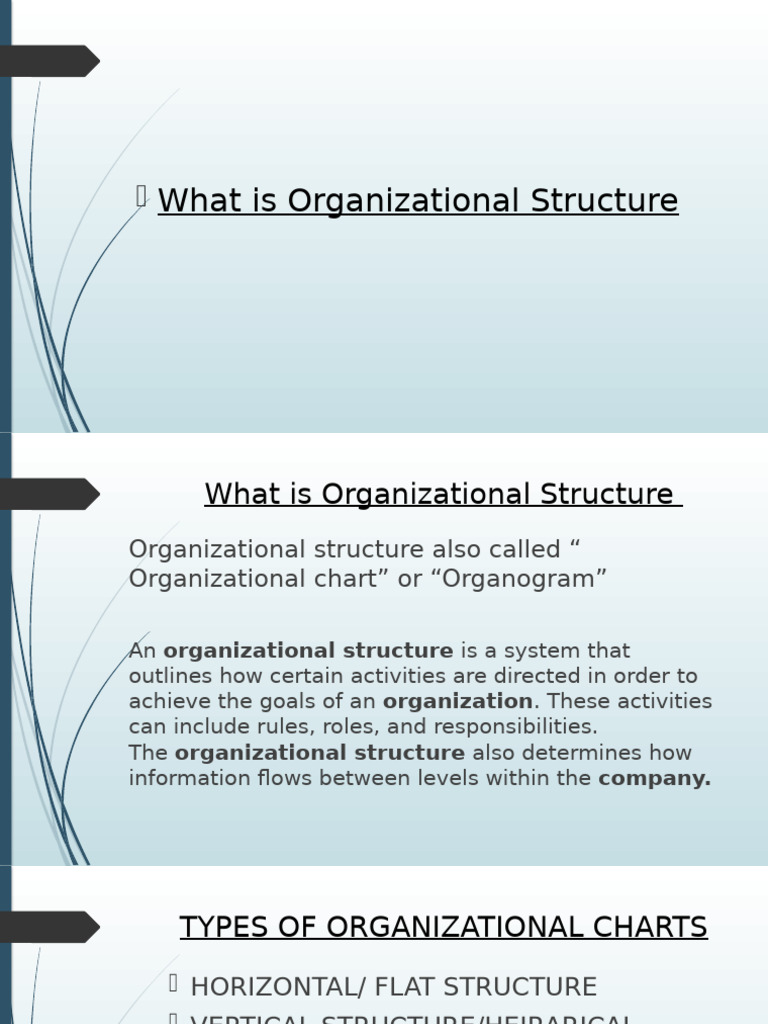 Understanding Organizational Structure | PDF