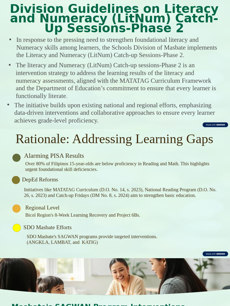 LitNum Catch-Up Sessions Phase 2 Guide | PDF | Literacy | Teachers