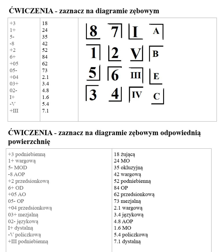 Ćwiczenia - Oznaczanie Zębów | PDF
