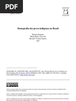 Demografia Dos Povos Indigenas No Brasil