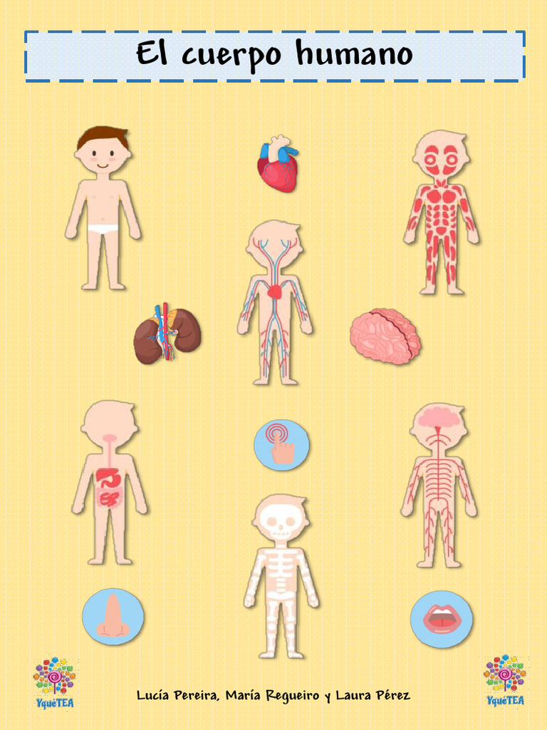 El Cuerpo Humano Unidad Didáctica NEAE | PDF | Sistema circulatorio ...