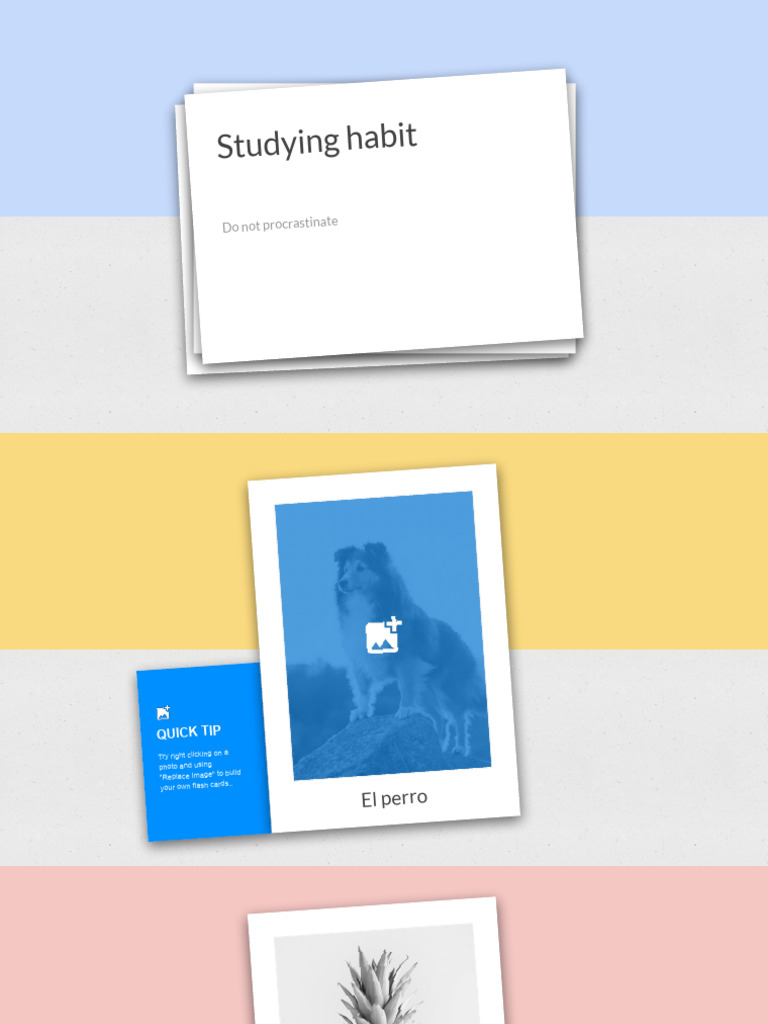 Flash Cards | PDF