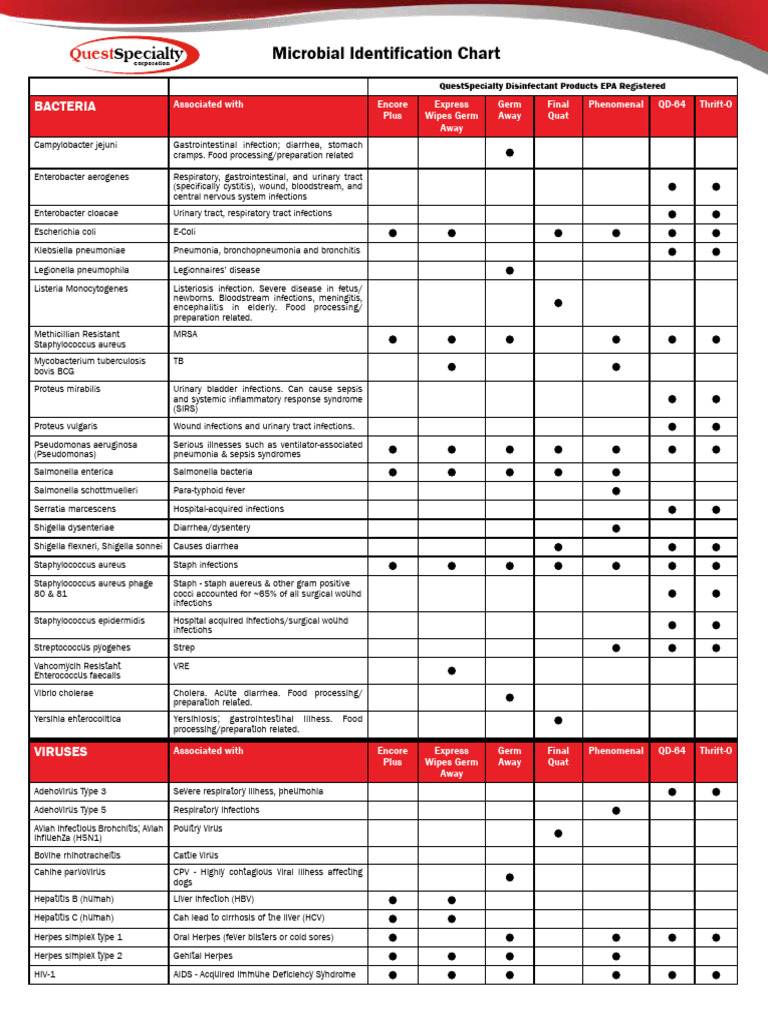 Microbial Identification Chart for Disinfectants | PDF | Influenza ...