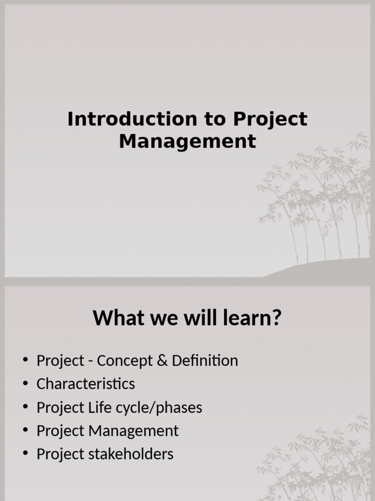 Project Management Basics Explained | PDF | Project Management | Economies