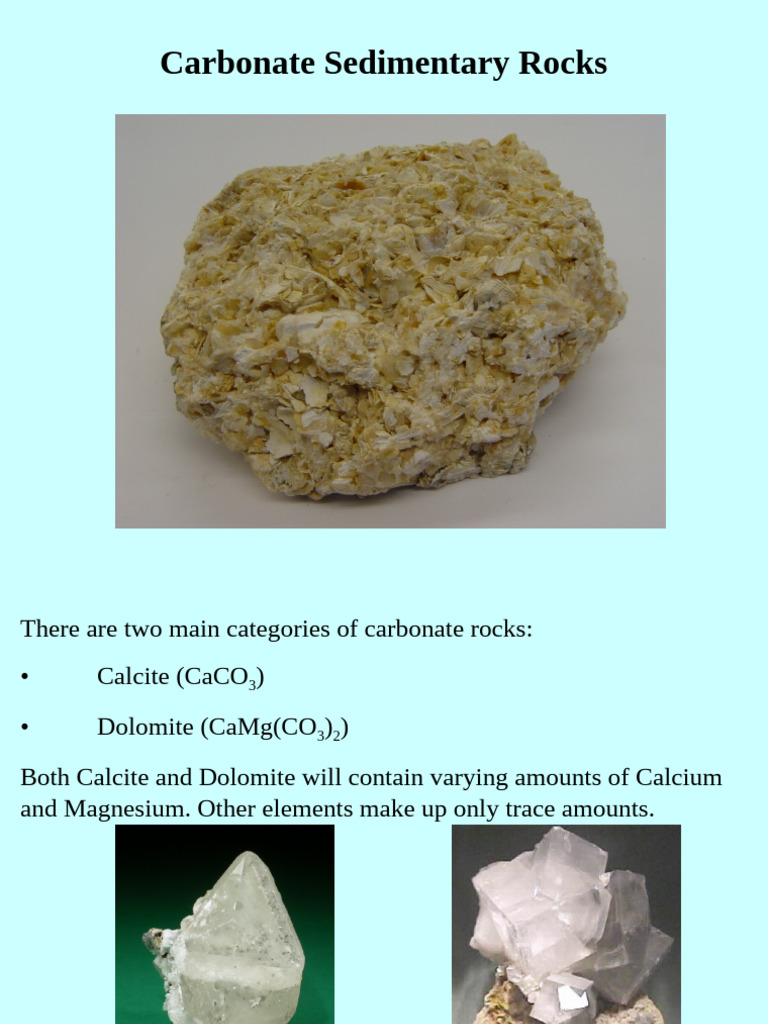 Understanding Carbonate Sedimentary Rocks | PDF | Limestone | Calcite