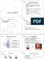 Lecture 22 Materials Codes