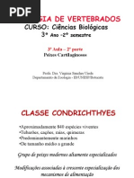 3-Peixes_cartilaginosos-aula