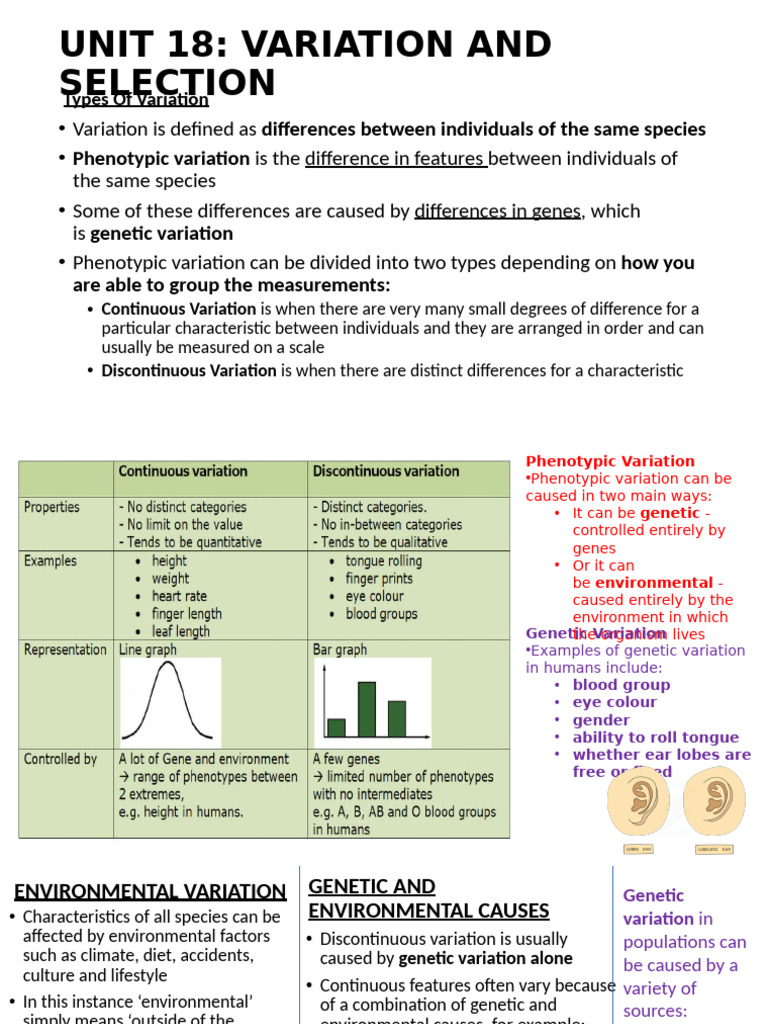 Variation and Natural Selection Explained | PDF | Genetic Diversity ...
