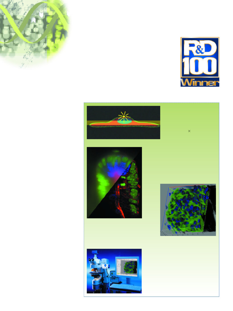 Optical Sections in Fluorescence Microscopy | PDF | Microscopy | Recording