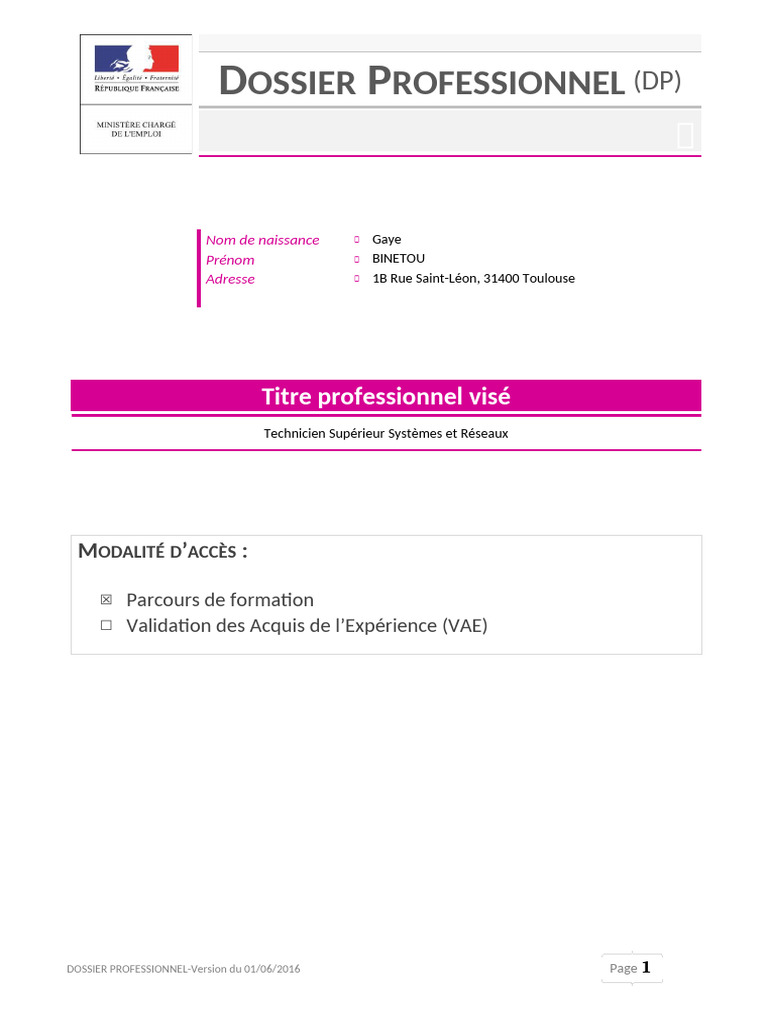 Dossier Professionnel Technicien Systèmes et Réseaux | PDF | Serveur ...