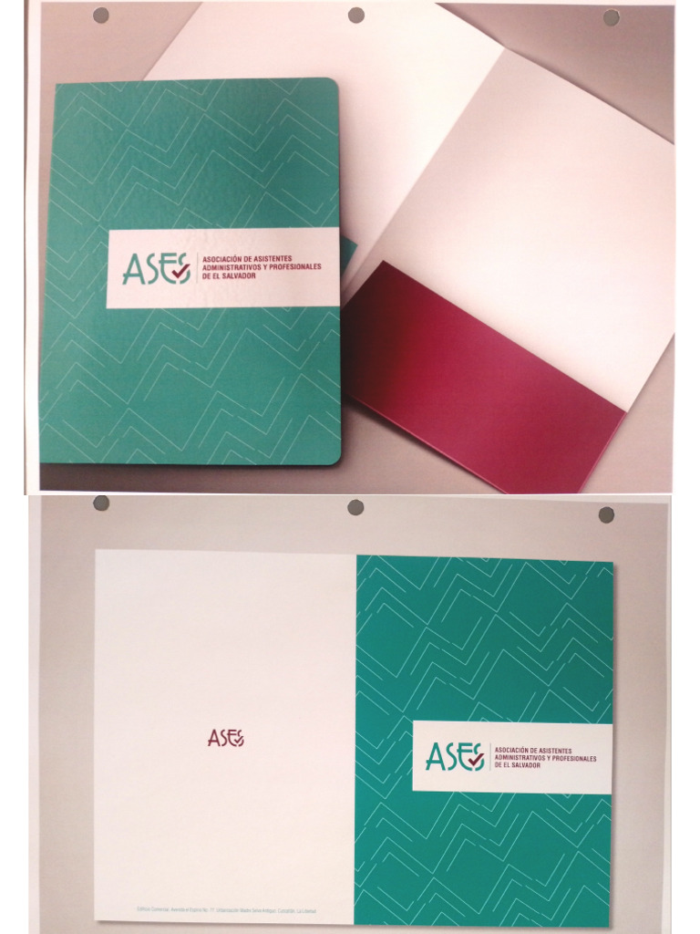 ACE Scanner - 2025 - 08 - 25 | PDF