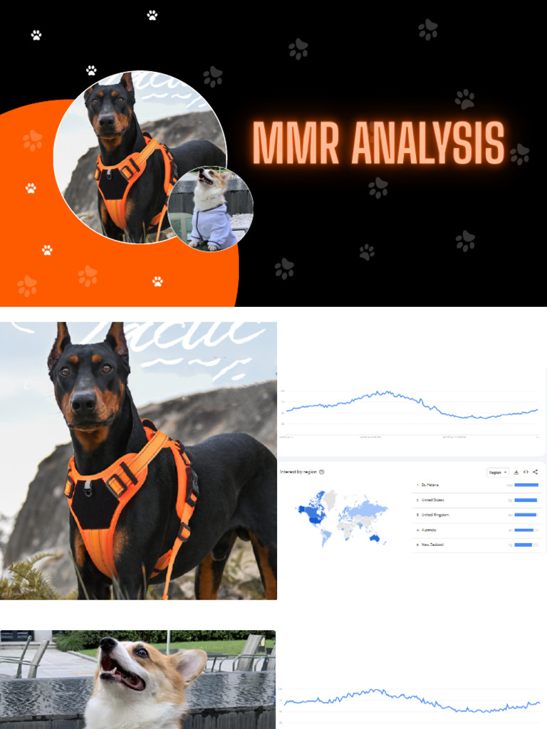 MMMR Analysis | PDF