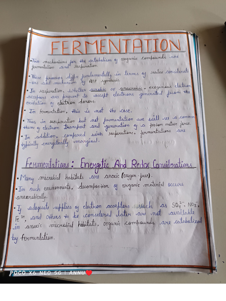 Mayank Sir Fermentation | PDF