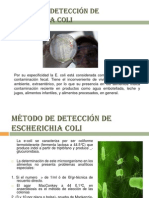 Método de Detección de Escherichia Coli