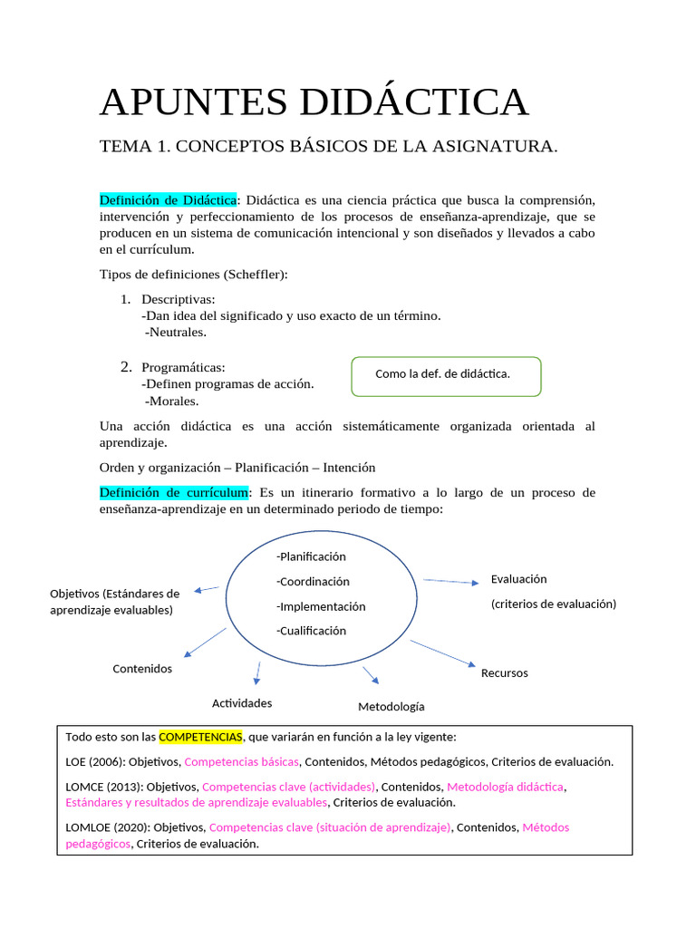 Copia de APUNTES DIDÁCTICA Hasta Tema 7 | PDF | Evaluación | Plan de ...
