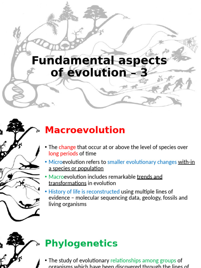 2022 Fundamental Aspects of Evolution 3 | PDF | Evolution | Natural ...