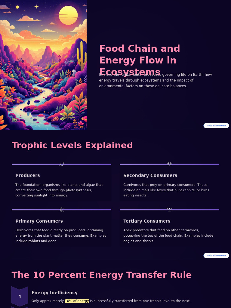 Energy Flow and Food Chain Dynamics | PDF | Food Web | Herbivore