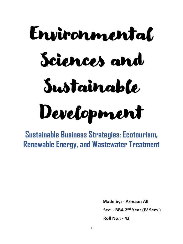 Sustainable Business Strategies Overview | PDF | Renewable Energy ...