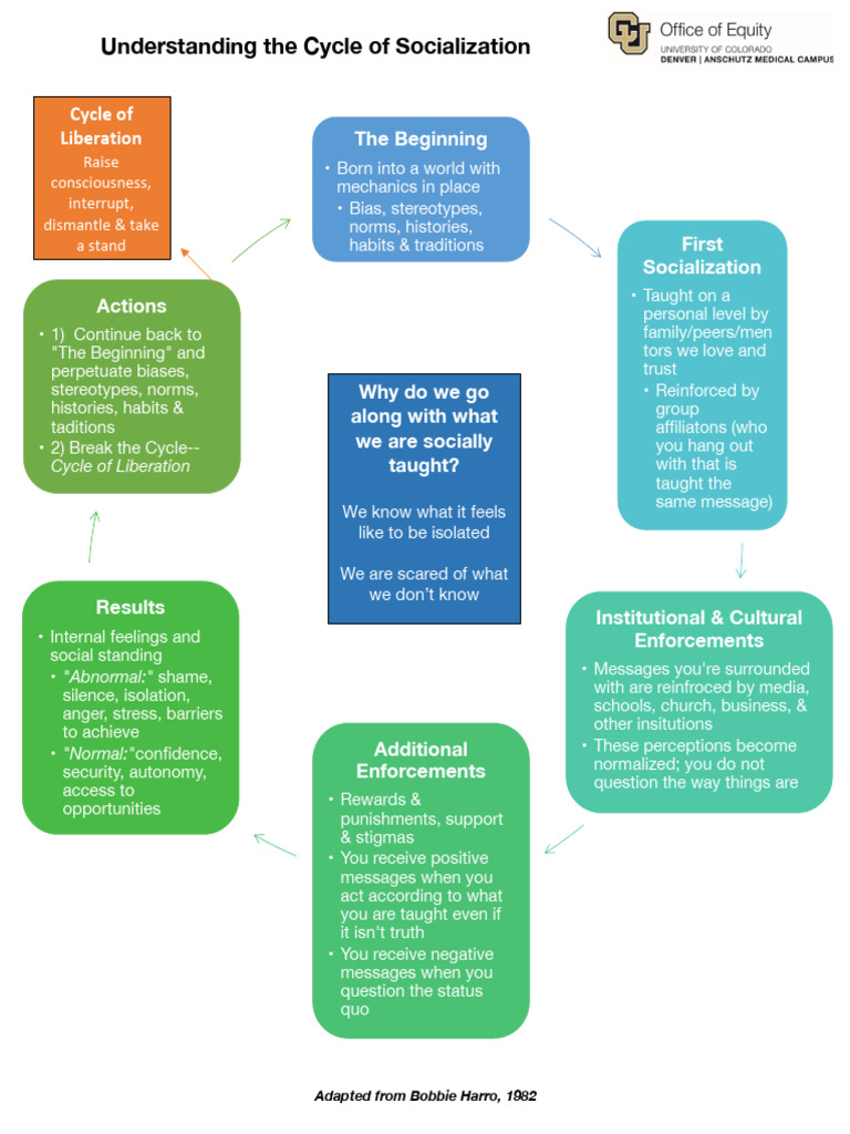 Understanding The Cycle of Socialization | PDF | Socialization ...