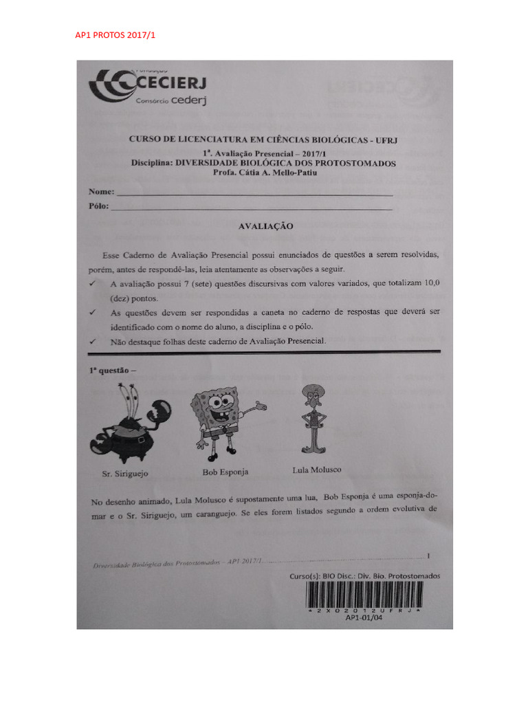 AP1 de Protos | PDF