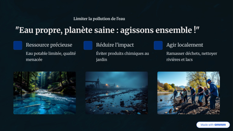 Limiter La Pollution de Leau | PDF